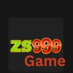 ZS999
