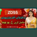 ZD55